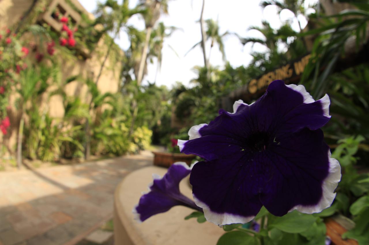Villas El Rancho Green Resort Mazatlan Ngoại thất bức ảnh